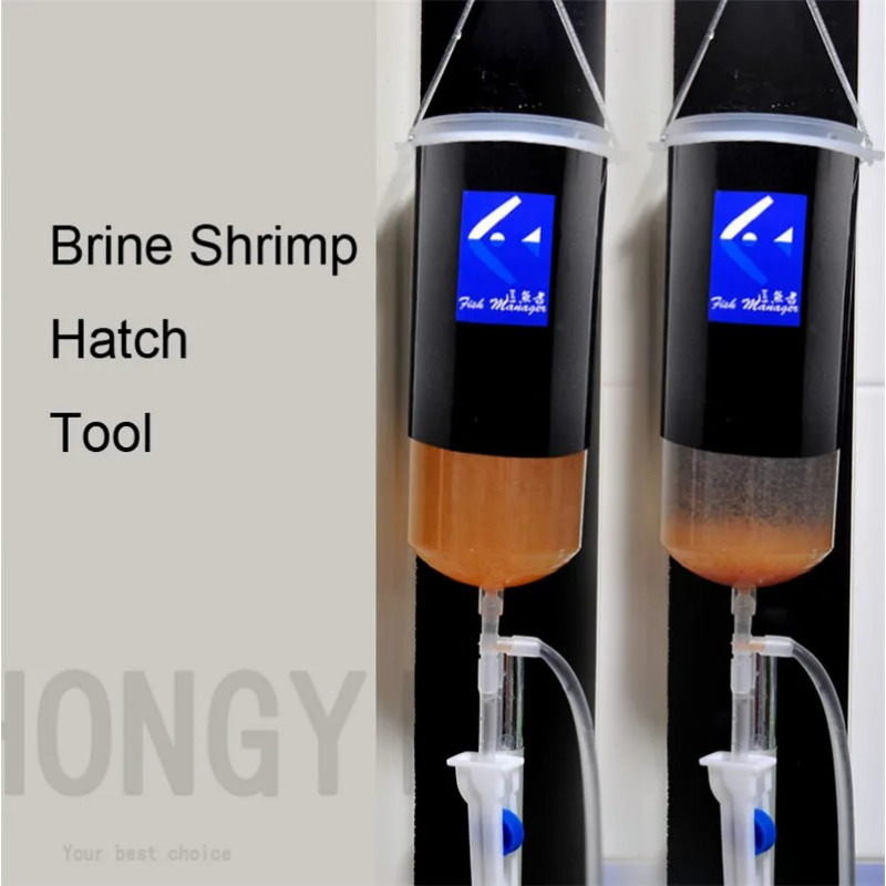 Baby Food Doll - Fairy shrimp egg artemia alive easy