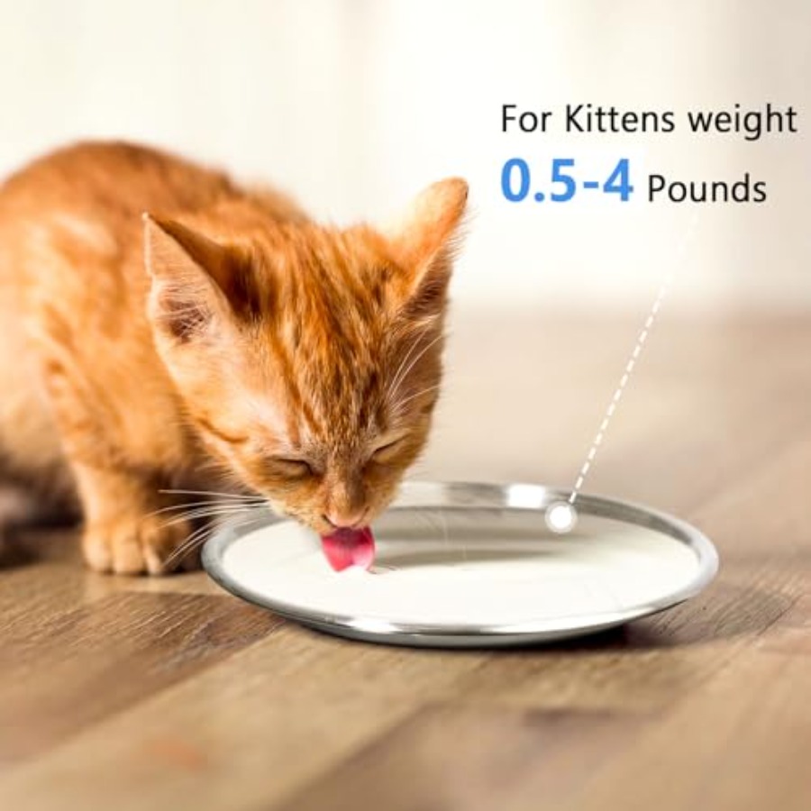 Stainless Steel Cat Dishes for - огляд і ціна Baby Food Kitten